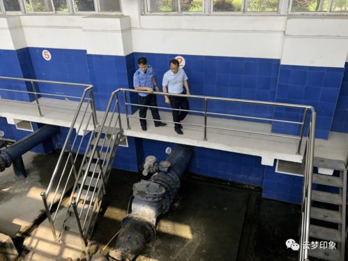 家居用品選購指南 打造舒適生活的必備元素